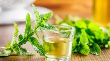 فوائد رائعة لشرب الشاي الأخضر لمدة أسبوعين