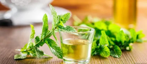 فوائد رائعة لشرب الشاي الأخضر لمدة أسبوعين فوائد رائعة لشرب الشاي الأخضر لمدة أسبوعين