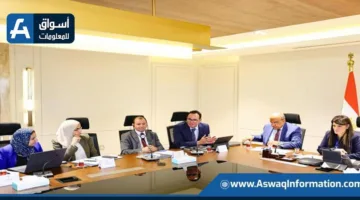 المشاط تبحث مع المفوضية الأوروبية استكمال الجانب الاقتصادي لآلية دعم الاقتصاد الكلي والموازنة
