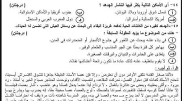أسئلة محتملة بنسبة 99%: مراجعة لليلة الامتحان في اللغة العربية لطلاب الثانوية العامة 2025