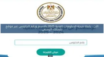 عاجل | نتائج الدبلومات الفنية 2025 في القاهرة وبقية المحافظات.. رابط للاطلاع عليها