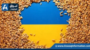 تراجع صادرات الحبوب الأوكرانية إلى 40 مليون طن