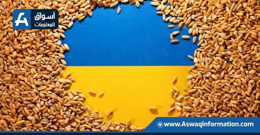 تراجع صادرات الحبوب الأوكرانية إلى 40 مليون طن تراجع صادرات الحبوب الأوكرانية إلى 40 مليون طن