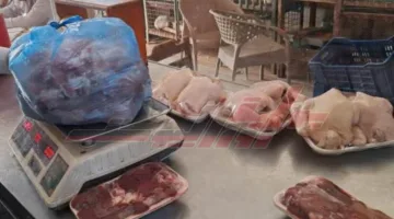 إتلاف 255 كيلوغرامًا من اللحوم والدواجن غير صالحة للأكل