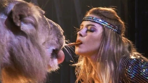 اليوم.. محاكمة أنوسة كوتة في قضية هجوم نمر على مساعدتها في سيرك طنطا اليوم.. محاكمة أنوسة كوتة في قضية هجوم نمر على مساعدتها في سيرك طنطا