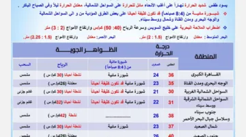 الأرصاد الجوية تنبه: ارتفاع درجات الحرارة وضباب كثيف اليوم السبت