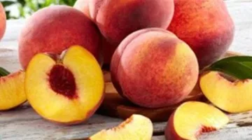 استراتيجيات لتوسيع زراعة وتصدير الخوخ المصري وسبل الحفاظ على استمرارية إنتاجه