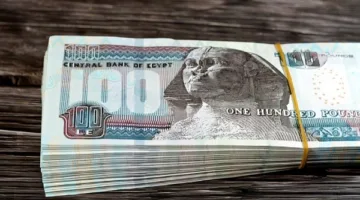 كم ستزيد؟.. احسب راتبك بعد تطبيق الزيادة الجديدة رسميًا.