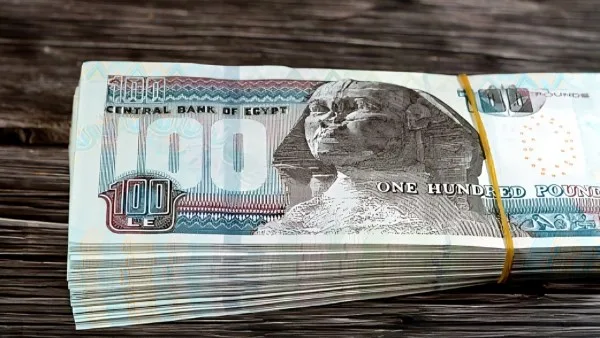 كم ستزيد؟.. احسب راتبك بعد تطبيق الزيادة الجديدة رسميًا. كم ستزيد؟.. احسب راتبك بعد تطبيق الزيادة الجديدة رسميًا.