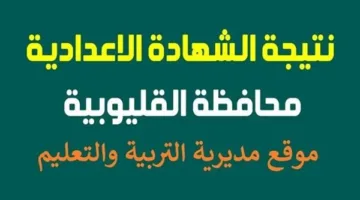 بعد اعتمادها من المحافظ: رابط الاستعلام عن نتيجة الشهادة الإعدادية في القليوبية باستخدام رقم الجلوس