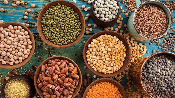أسعار الحبوب في محافظة الغربية اليوم السبت 21 يونيو 2025