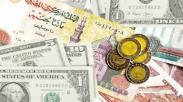 تحديث أسعار العملات الأجنبية مقابل الجنيه المصري اليوم السبت 21 يونيو 2025