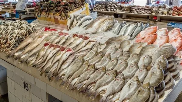 أسعار السمك والمأكولات البحرية في الغربية اليوم السبت 21 يونيو 2025 أسعار السمك والمأكولات البحرية في الغربية اليوم السبت 21 يونيو 2025
