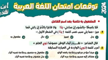 الثانوية العامة 2025: أهم الأسئلة المحتملة في ليلة اختبار اللغة العربية