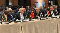 وزير الخارجية يحضر الاجتماع الوزاري العربي في إسطنبول