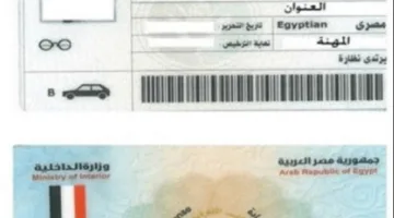 استعلام عن مخالفات المرور عبر الإنترنت باستخدام رقم الرخصة