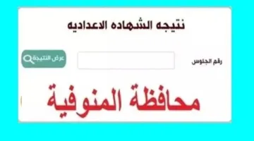 نتائج شهادة الإعدادية في محافظة المنوفية: رابط الاستعلام وطرق الحصول على النتائج