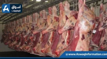 الهيئات البيطرية تضبط كميات ضخمة من اللحوم والرنجة والدواجن غير الصالحة للاستهلاك