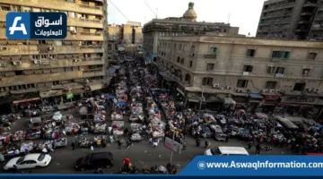 مجلس الوزراء: 44 مليار جنيه لتطوير الأسواق العشوائية إلى مراكز حضرية | إنفوجراف