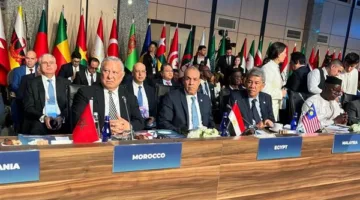 وزير الخارجية: التجارة بين مصر وتركيا وصلت إلى 9 مليارات دولار