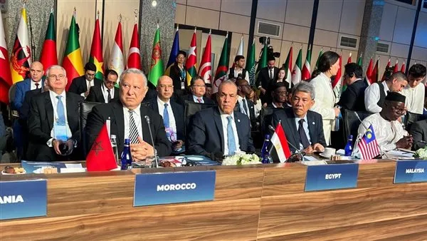 وزير الخارجية: التجارة بين مصر وتركيا وصلت إلى 9 مليارات دولار