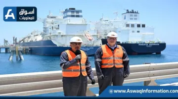 رئيس الوزراء: تحويل الغاز يعتبر حلاً مؤقتًا حتى استئناف وإعادة زيادة إنتاج الحقول المصرية.