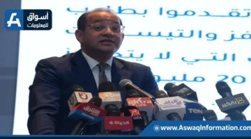 وزير المالية: ارتفاع الإيرادات الضريبية بنسبة 36% بقيمة 500 مليار جنيه خلال 11 شهرًا