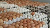 ارتفاع جديد في أسعار البيض الأبيض والأحمر في المزارع