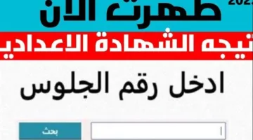 نتيجة الصف الثالث الإعدادي في محافظة البحيرة متاحة الآن برقم الجلوس.. رابط للاستعلام عن النتيجة