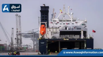 ميناء دمياط يستقبل 50741 طنًا من الحبوب والحديد وفول الصويا