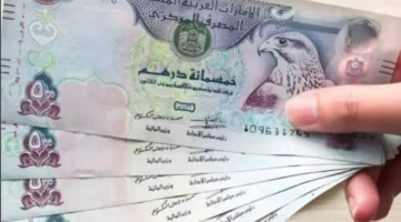 سعر الدرهم الإماراتي مقابل الجنيه المصري اليوم السبت 21 يونيو 2025