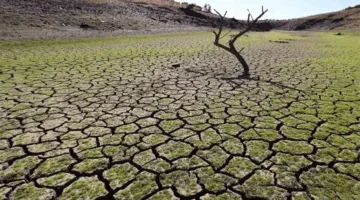 من الأراضي الخصبة إلى أراضٍ قاحلة… جفاف شديد يضرب صلاح الدين والحلول غائبة!