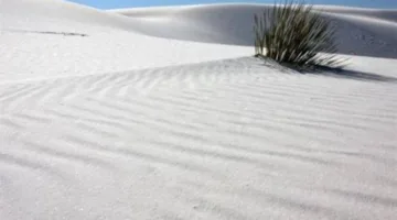 بعد حظر تصديرها.. ما سبب اعتبار الرمال البيضاء ثروة استراتيجية لمصر؟