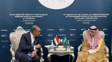 على هامش اجتماعات منظمة التعاون الإسلامي في إسطنبول.. وزير الخارجية ووزير الهجرة يلتقيان بنظيره السعودي
