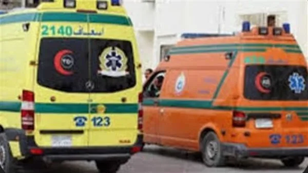 أسرة تعارض علاقة الحب بين الشاب والفتاة.. انتحار مأساوي لهما بقنا أسرة تعارض علاقة الحب بين الشاب والفتاة.. انتحار مأساوي لهما بقنا