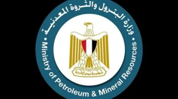 البترول تضمن للمصريين: لن تتكرر أزمة انقطاع الكهرباء خلال الصيف (فيديو)