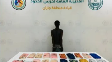 اعتقال متهرب بحوزته 22 كيلوغرامًا من الحشيش