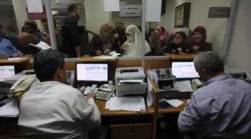 تعاقدات التخصصات الفريدة: القوانين تتيح للحكومة الاستفادة من أصحاب الخبرات.
