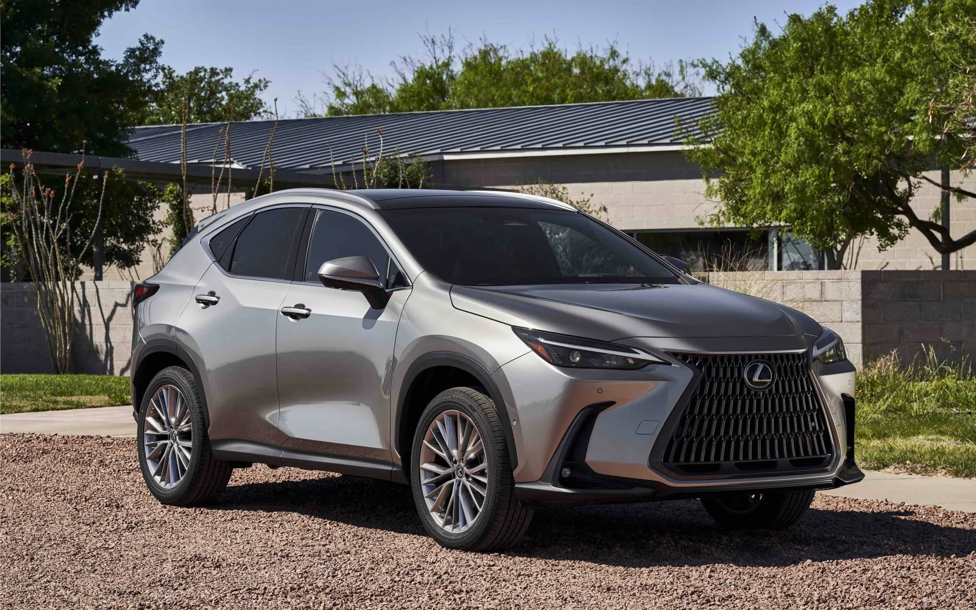 أسعار ومميزات لكزس NX 2025 في الإمارات.. مع صور
