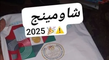كيس أوراق الأسئلة يتداول | شاومينج يتهم بتسريب امتحان اللغة العربية للثانوية العامة لطلاب VIP.. والتعليم ترد