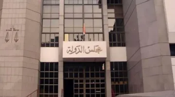 اليوم.. النظر في قضية إسقاط اسم منتصر الزيات من سجلات المحامين