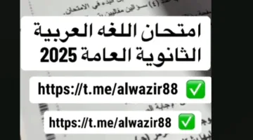 تسرب اختبار اللغة العربية للثانوية العامة 2025.. ما مدى صحة ادعاءات شاومينج؟