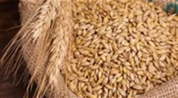 أسعار الأرز اليوم الأحد 22 يونيو: الشعير والأبيض في الأسواق