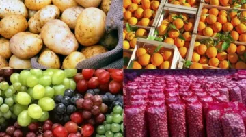 الزراعة: تصدير 5.2 مليون طن من المنتجات الزراعية في النصف الأول من 2025