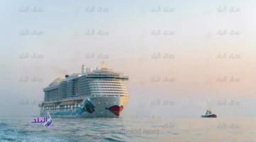 نائب برلماني: شراء 3 سفن تغيير استثمار ذكي يعزز أمن الطاقة ويحافظ على الميزانية
