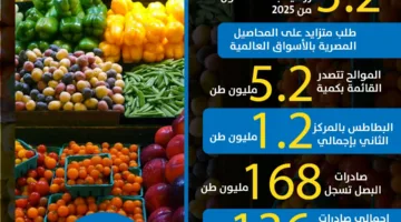زيادة الصادرات الزراعية المصرية إلى الأسواق العالمية | إنفوجراف
