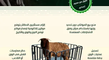 البيئة: (6) معايير لبيع المواشي الحية بالوزن اعتبارًا من بداية شهر محرم