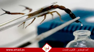 سم العقرب: أمل جديد في مكافحة سرطان مميت يؤثر على النساء