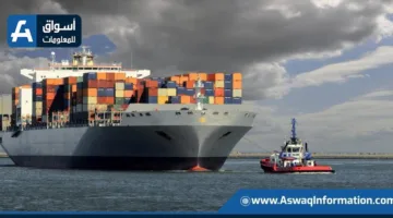 الصادرات الزراعية من مصر تصل إلى 5.2 مليون طن في النصف الأول من السنة الحالية