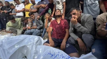 الإبادة تتواصل… إسرائيل تقتل 31 فلسطينياً في غزة بينهم أطفال ونساء وعاكفون على البحث عن الطعام في المناطق الشمالية والوسطى والجنوبية من القطاع.